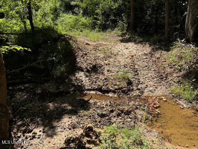 5785 Meadville Road Meadville, MS 39653 - Photo 16 of 60 IMG_0661