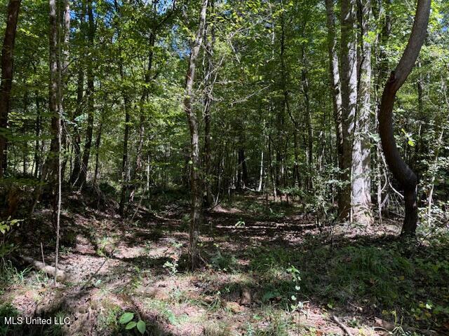 5785 Meadville Road Meadville, MS 39653 - Photo 17 of 60 IMG_0662