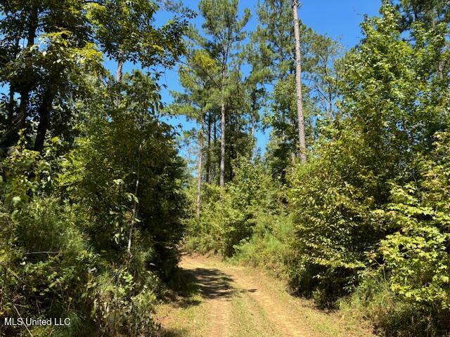 5785 Meadville Road Meadville, MS 39653 - Photo 18 of 60 IMG_0663