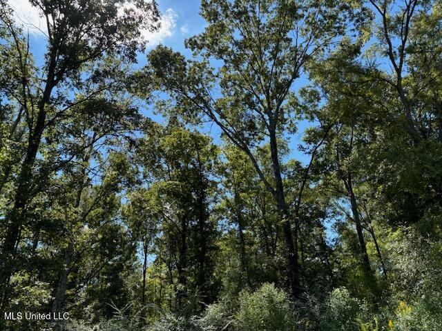 5785 Meadville Road Meadville, MS 39653 - Photo 20 of 60 IMG_0665