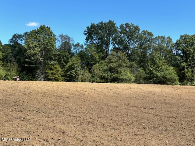 5785 Meadville Road Meadville, MS 39653 - Photo 21 of 60 IMG_0667