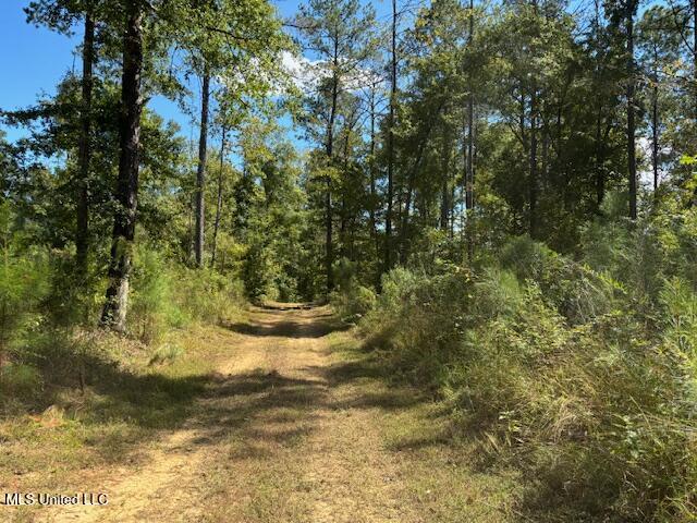 5785 Meadville Road Meadville, MS 39653 - Photo 22 of 60 IMG_0668