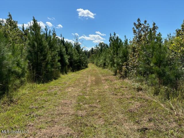 5785 Meadville Road Meadville, MS 39653 - Photo 23 of 60 IMG_0669