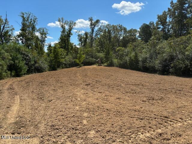 5785 Meadville Road Meadville, MS 39653 - Photo 24 of 60 IMG_0670