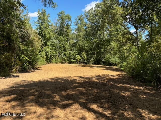 5785 Meadville Road Meadville, MS 39653 - Photo 25 of 60 IMG_0671