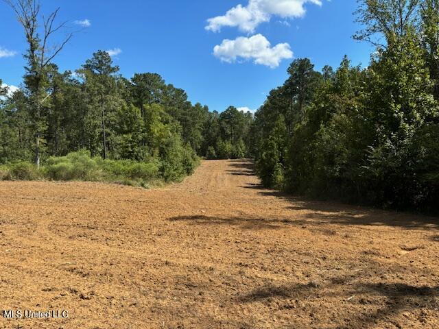 5785 Meadville Road Meadville, MS 39653 - Photo 26 of 60 IMG_0672