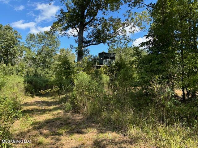 5785 Meadville Road Meadville, MS 39653 - Photo 27 of 60 IMG_0673