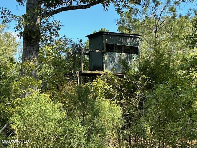 5785 Meadville Road Meadville, MS 39653 - Photo 28 of 60 IMG_0674