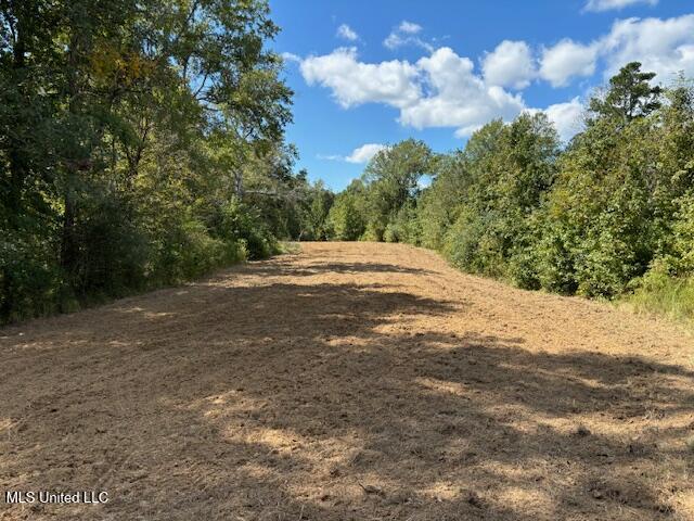 5785 Meadville Road Meadville, MS 39653 - Photo 29 of 60 IMG_0675