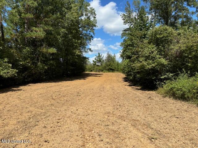 5785 Meadville Road Meadville, MS 39653 - Photo 30 of 60 IMG_0676