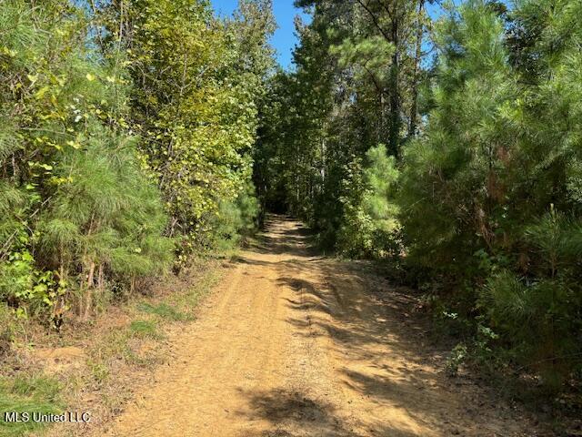 5785 Meadville Road Meadville, MS 39653 - Photo 3 of 60 IMG_0646