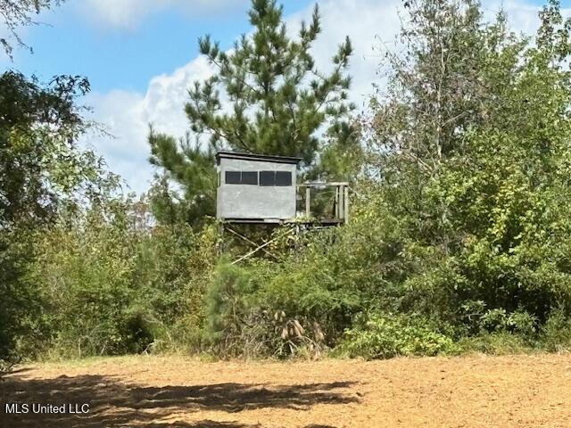 5785 Meadville Road Meadville, MS 39653 - Photo 31 of 60 IMG_0678