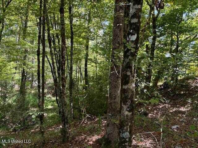 5785 Meadville Road Meadville, MS 39653 - Photo 32 of 60 IMG_0679