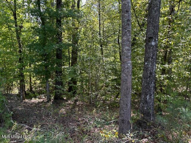 5785 Meadville Road Meadville, MS 39653 - Photo 33 of 60 IMG_0680