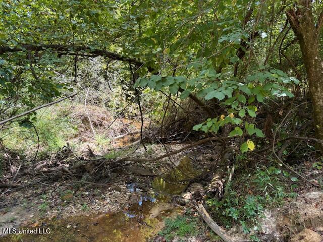 5785 Meadville Road Meadville, MS 39653 - Photo 34 of 60 IMG_0681