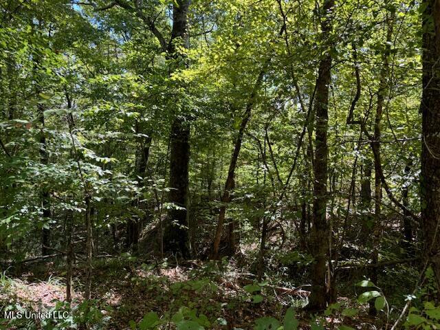 5785 Meadville Road Meadville, MS 39653 - Photo 35 of 60 IMG_0682