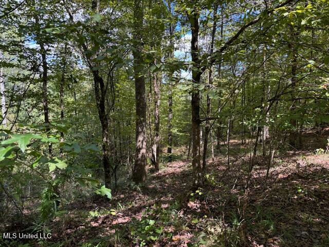 5785 Meadville Road Meadville, MS 39653 - Photo 36 of 60 IMG_0683