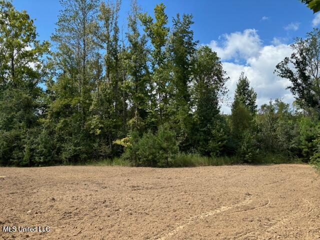 5785 Meadville Road Meadville, MS 39653 - Photo 37 of 60 IMG_0684