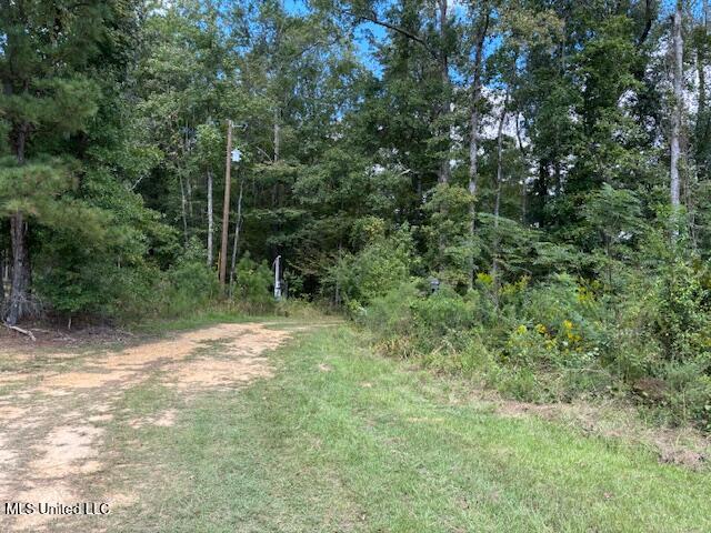 5785 Meadville Road Meadville, MS 39653 - Photo 39 of 60 IMG_0686