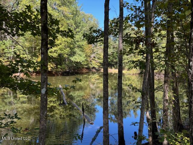 5785 Meadville Road Meadville, MS 39653 - Photo 4 of 60 IMG_0647
