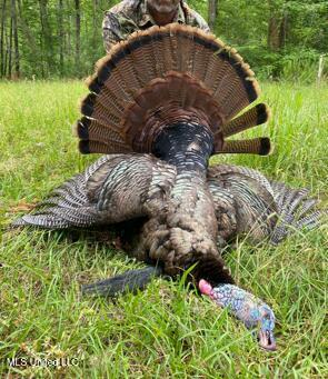 5785 Meadville Road Meadville, MS 39653 - Photo 45 of 60 IMG_0699