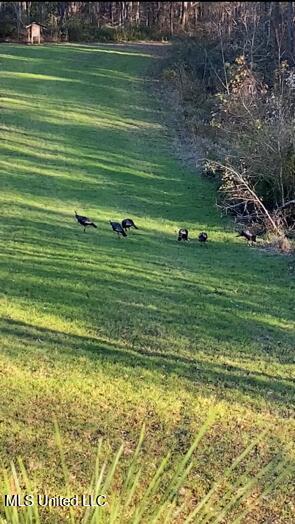 5785 Meadville Road Meadville, MS 39653 - Photo 46 of 60 IMG_0700