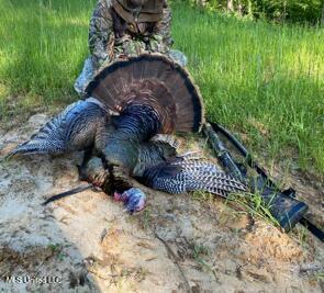 5785 Meadville Road Meadville, MS 39653 - Photo 47 of 60 IMG_0701