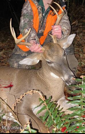 5785 Meadville Road Meadville, MS 39653 - Photo 48 of 60 IMG_2339