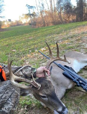 5785 Meadville Road Meadville, MS 39653 - Photo 50 of 60 IMG_3469