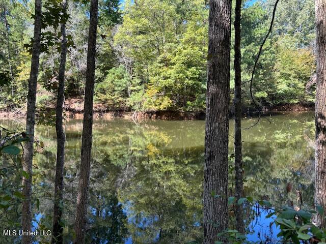 5785 Meadville Road Meadville, MS 39653 - Photo 5 of 60 IMG_0648