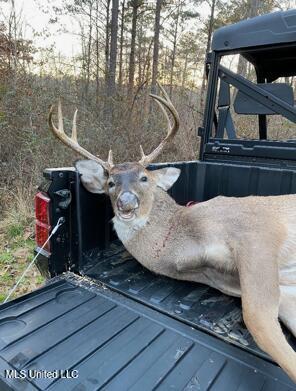 5785 Meadville Road Meadville, MS 39653 - Photo 51 of 60 IMG_3470