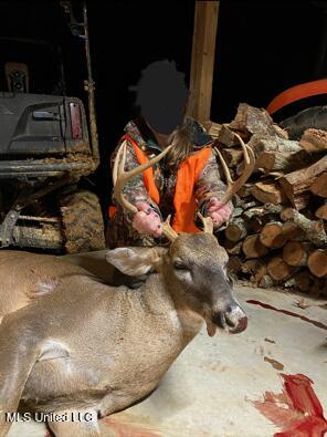 5785 Meadville Road Meadville, MS 39653 - Photo 52 of 60 IMG_3482