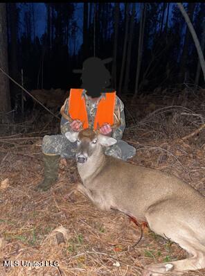 5785 Meadville Road Meadville, MS 39653 - Photo 53 of 60 IMG_3483