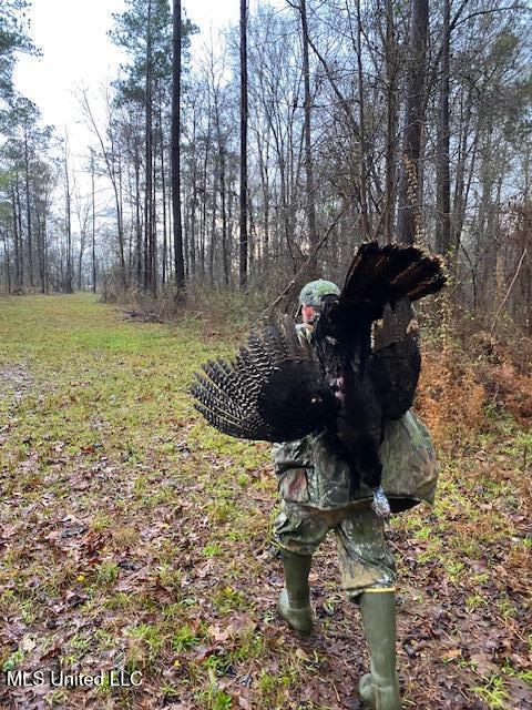 5785 Meadville Road Meadville, MS 39653 - Photo 55 of 60 IMG_3546