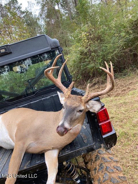 5785 Meadville Road Meadville, MS 39653 - Photo 58 of 60 IMG_4083