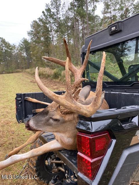 5785 Meadville Road Meadville, MS 39653 - Photo 59 of 60 IMG_4084