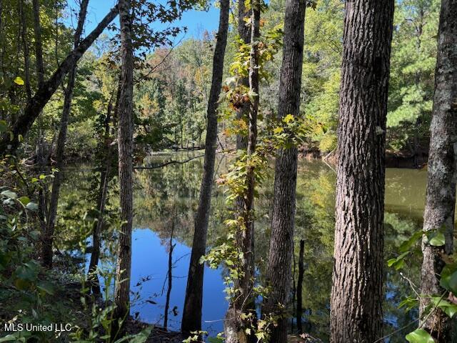 5785 Meadville Road Meadville, MS 39653 - Photo 6 of 60 IMG_0649