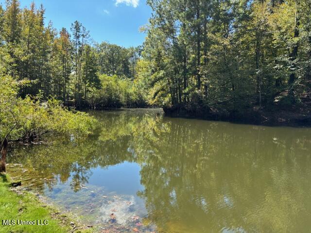 5785 Meadville Road Meadville, MS 39653 - Photo 7 of 60 IMG_0650