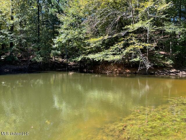 5785 Meadville Road Meadville, MS 39653 - Photo 8 of 60 IMG_0651