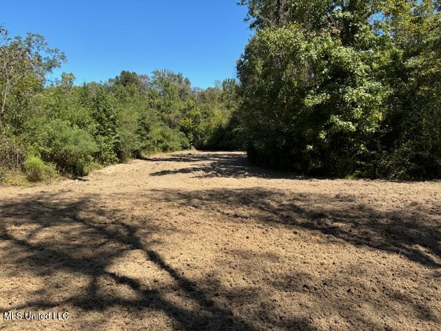 5785 Meadville Road Meadville, MS 39653 - Photo 9 of 60 IMG_0652
