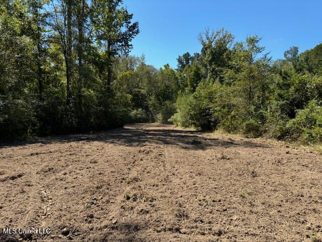 5785 Meadville Road Meadville, MS 39653 - Photo 10 of 60 IMG_0653