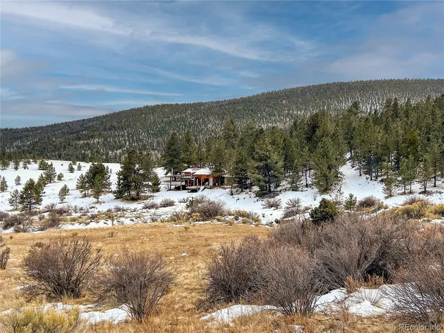 a close up of a tree