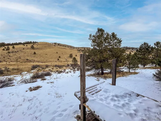 a view of a yard with a mountain in the background