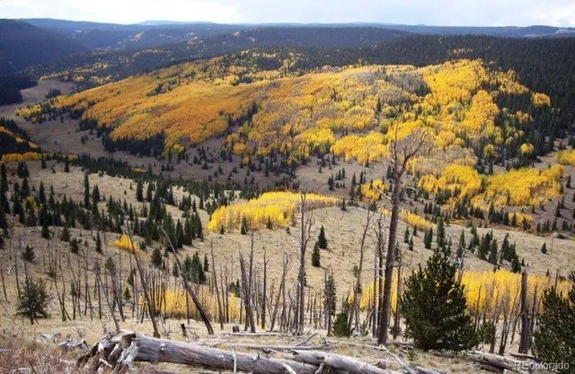 $400,000 | 33059 Forest Service Road, Unit 672, Del Norte, CO 81132