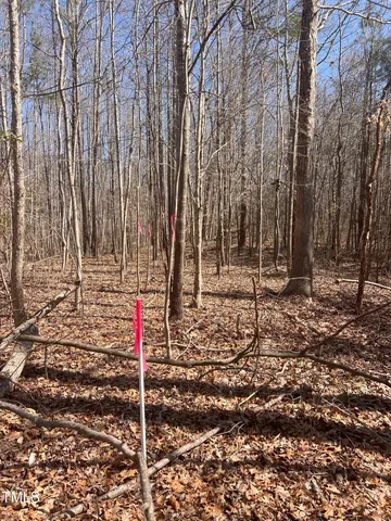 a view of backyard space