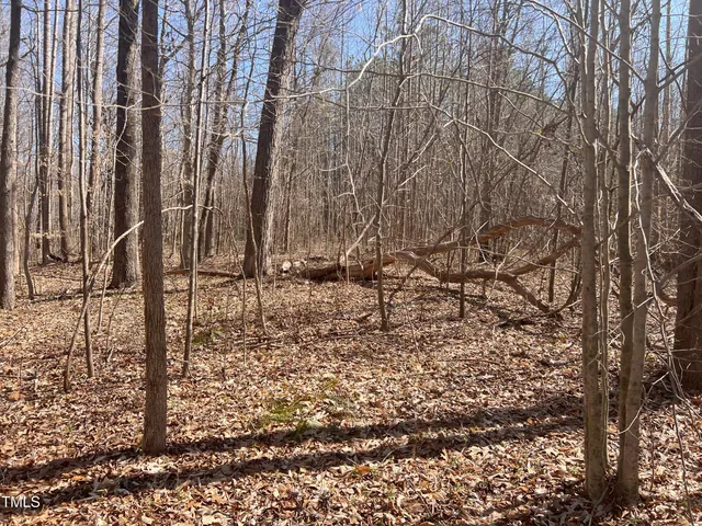 a view of a backyard with trees