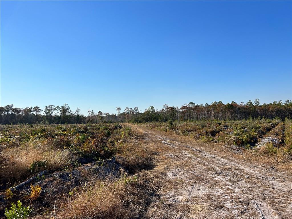 99 Highway 99 Townsend, GA 31331 - Photo 23 of 36