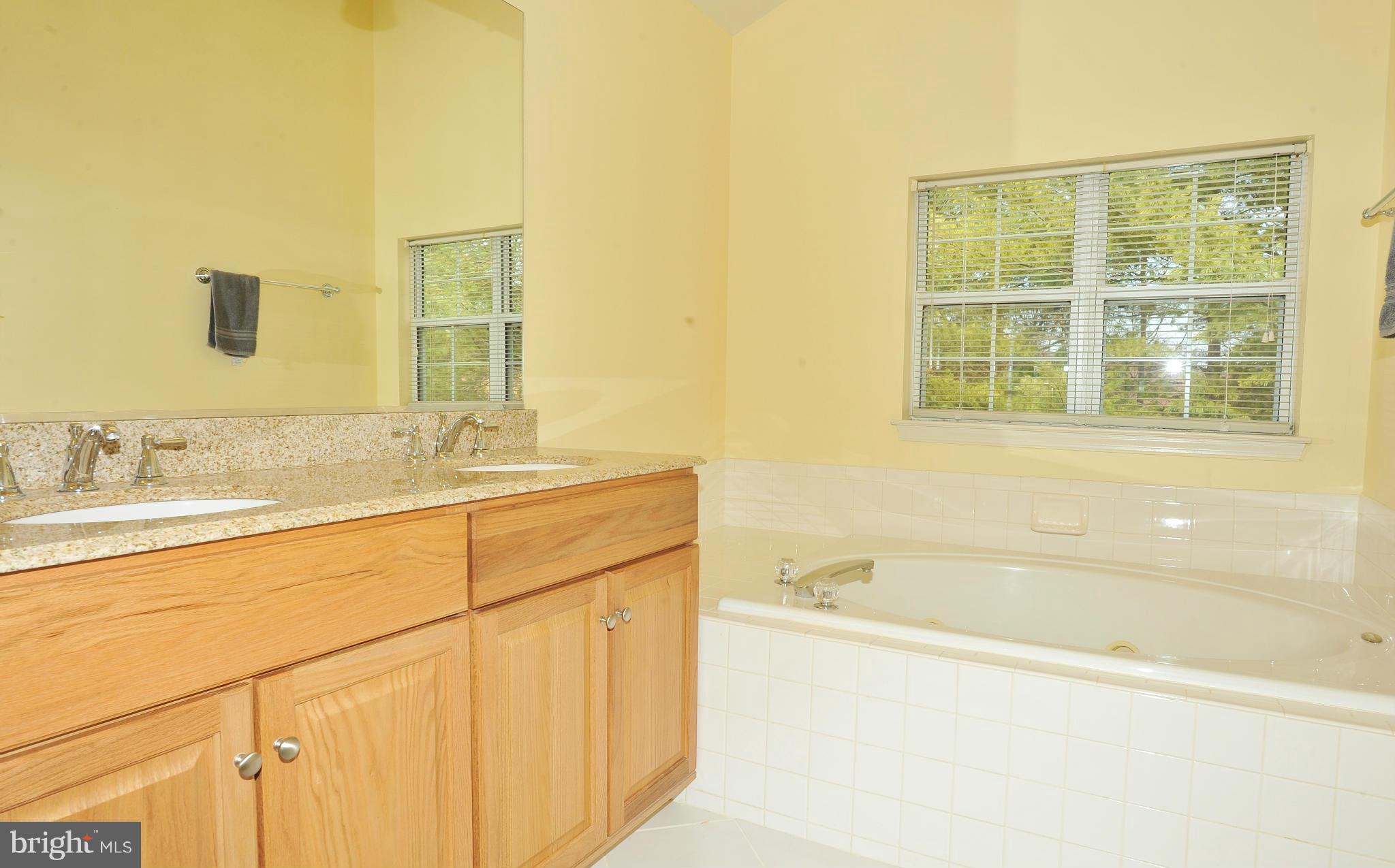 5700 Clapham Road Alexandria, VA 22315 - Photo 22 of 30 a bathroom with a tub sink and mirror