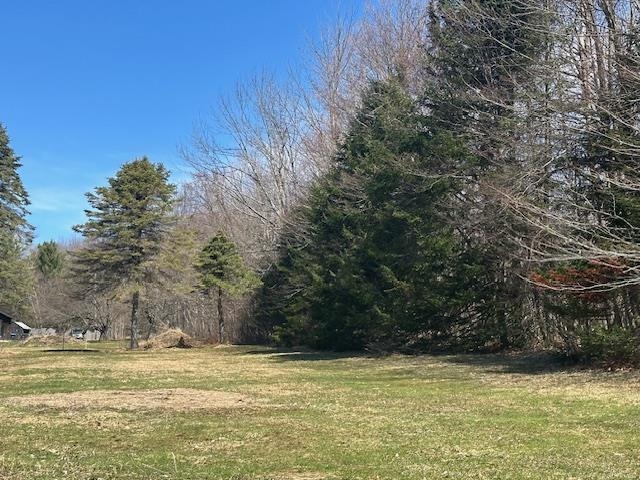 489 Poker Hill Road Underhill, VT 05489 - Photo 4 of 12