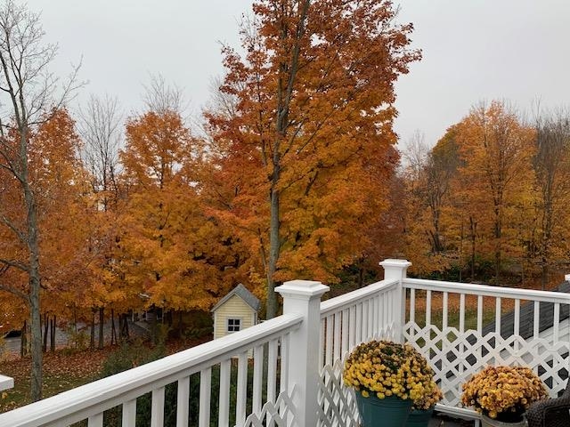 2 Lake Street, Unit APARTMENT B Meredith, NH 03253 - Photo 52 of 56
